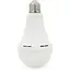 Фонарь Almina DL-2030 30W, 2700Лм, 6400K (DL-2030) - миниатюра 1