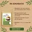 Протеїн з ядер соняшника Здорово! 750 г - мініатюра 5