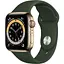 Смарт-часы Apple Watch Series 6 GPS + Cellular 40mm Gold Stainless Steel Case w. Cyprus Green Sport B. M02W3 - миниатюра 1