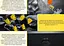 Клавиатура игровая механическая HATOR HTK-850UA Wireless Black-White Rockfall 3 TKL Mecha orange, QMK/VIA - миниатюра 7