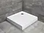Душовий піддон Radaway Delos C 80x80 4C88170-03 + панель - мініатюра 3