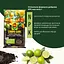 Торфосмесь для цитрусовых растений COMPO SANA® 10 л - миниатюра 6