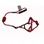 Комплект шлея с поводком AnimAll для животных, M, 1 x 120 см, красный - миниатюра 1