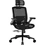 Ігрове крісло Cougar Speeder One Black (Speeder One) - мініатюра 1
