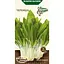 Насіння черемши Насіння України 0.2 г (574400) - мініатюра 1