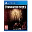Гра Tormented Souls (російські субтитри) (PS4) - мініатюра 1