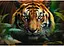 Пазл Trefl Дикий тигр 1000 эл. (10798) - миниатюра 2