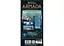 Настольная игра Asmodee 7 Чудес: Армада (2-е изд.) (Wonder Armada 2nd Edition) (англ.) (92285) - миниатюра 2