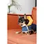 Шлея-жилет Pet Fashion Poppy для собак розмір XS2 - мініатюра 7