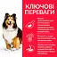 Сухий корм Hill’s SP Adult Sensitive Stomach&Skin Medium Breed для собак середніх порід з куркою 0.8 кг - мініатюра 2