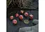 Набор кубиков The Witcher Dice Set. Crones - Brewess , 7 шт. (SWCR01) - миниатюра 4