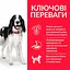 Сухой корм Hill's SP Adult Medium Breed для взрослых собак средних пород с тунцем и рисом 12 кг - миниатюра 3
