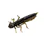 Силикон FishUP Dragonfly 1.7" #043 - Watermelon Brown/Black (8 шт/уп) - мініатюра 1