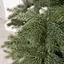 Новогодняя искусственная елка 2,3м зеленая сосна Альпийская реалистичная Премиум Lugi TD-SALPGR23 - миниатюра 5