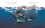 Книга Про кашалота, якому все збирати охота. Маленькі історії про чудеса та дружбу. Автор - Р. Брайт (Ранок) - мініатюра 6