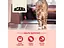 Сухий корм для кішок ACANA Indoor Entree 1.8 кг (0064992714505) - мініатюра 6
