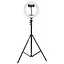 Кільцева світлодіодна LED лампа Arc Ring 8" + tripod 2.1m Black - мініатюра 2