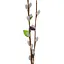 Штучна гілка верби Elisey Котики 65 см 9225-001 коричнева - мініатюра 2