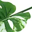 Искусственные листья Engard Monstera Alba 73 см (TW-54) - миниатюра 3