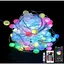 Розумна світлодіодна музична гірлянда 100LED, 10 м, кольорові RGB кульки з USB живленням та дистанційним - мініатюра 1