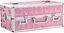 Кейс для хранения секс-игрушек BMS Factory Large Lokable Vibrator Case Pink - миниатюра 2
