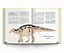 Крута історія України. Від динозаврів до сьогодні - миниатюра 7