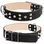 Нашийник для собак Collar подвійний з шипами (4820082492137) - мініатюра 1