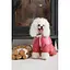 Комбінезон Pet Fashion Cherry XL для дівчаток - мініатюра 4