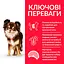 Сухий корм Hill’s SP Adult Light Small&Mini для собак малих і міні порід схильних до ожиріння з куркою 1.5 кг - мініатюра 3