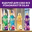 Кондиціонер для білизни Silan Аромотерапія Казковий Лотос 770 мл - мініатюра 8
