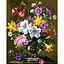 Картина за номерами "Квітковий салют" 504028-NC 40х50 см - мініатюра 1