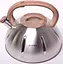 Чайник Whistling Kettle із нержавіючої сталі зі свистком Kamille Ø26.5х23 см kuh0006797 - мініатюра 2