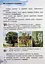 Я досліджую світ 1 клас. Підручник з інтегрованого курсу. Частина 2 - мініатюра 5