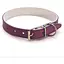 Нашийник для собак Zoo-hunt ОД Фарби шкіряний подвійний фіолетовий 2,5/36-46 см - мініатюра 1