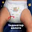Підгузки-трусики нічні Pampers Night Pants Розмір 6 (13-19 кг) 40 шт. - мініатюра 5
