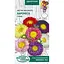 Насіння Айстра Мацумото Насіння України Баронесса суміш 0.25 г (769400) - мініатюра 1
