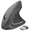 Миша бездротова вертикальна Trust Verto Ergonomic Black (22879) - мініатюра 1