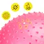 Мяч для фитнеса (фитбол) Cornix 55 см массажный Anti-Burst Pink XR-0469 - миниатюра 2