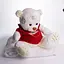 Мягкая игрушка с пледом Мишка Тедди в красном свитере белый плюшевый плед игрушка подушка детская ТМ COLORFUL HOME 509-35WR - миниатюра 2