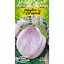 Семена Баклажан Насіння України Глобус 0.25 г (661600) - миниатюра 1