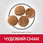 Сухий корм Hill’s SP Adult Medium Breed для дорослих собак середніх порід з куркою 14 кг - мініатюра 4