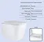 Набір Q-tap Nest 4 в 1 підвісний унітаз Tern Ultra Quiet 525x345x360 + комплект інсталяції QT17332303AW47510 - мініатюра 2