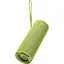 Портативна акустика Huawei Sound Joy 2 Thriving Green [140197] - мініатюра 6