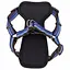 Шлея с нагрудником Coastal K9 Explorer Harness 1.6х30-45 см для собак светоотражающая (36445_SAP18) - миниатюра 1