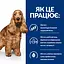 Сухий корм для собак Hill’s Prescription Diet z/d при харчовій алергії, 3 кг - мініатюра 4