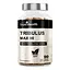 Стимулятор тестостерона Tribulus Max 200 mg 90 вегакапсул True Health fit0025878 - миниатюра 1