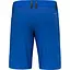Шорти Salewa Agner Dst M Shorts XL Синій (1054-013.012.0405) - мініатюра 2