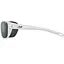 Очки Julbo Camino Spectron Polarized Cat 3 White (1052-J5019011) - миниатюра 2