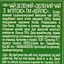 Чай Hyleys зелений з м'ятою 100 г - мініатюра 6