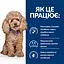 Сухий корм для собак малих порід Hill’s Prescription Diet Gastrointestinal Biome Mini при захворюваннях шлунку - мініатюра 3